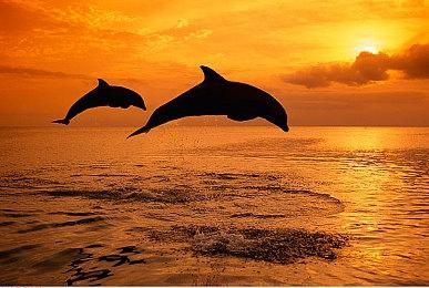 《喋血街头4：未登记》发布PC公测版 4人Co-op模式登场